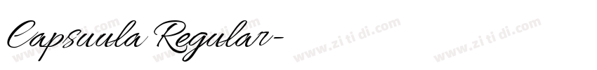 Capsuula Regular字体转换 Capsuula Regular字体转换